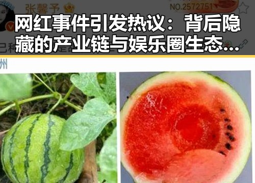 网红事件引发热议:背后隐藏的产业链与娱乐圈生态变迁