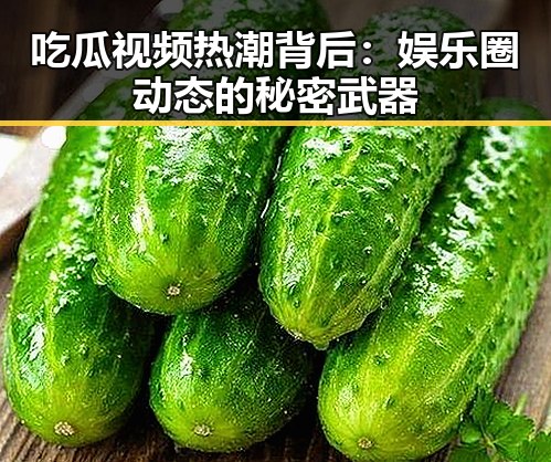 吃瓜视频热潮背后：娱乐圈动态的秘密武器