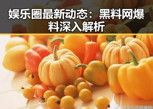 娱乐圈最新动态：黑料网爆料深入解析