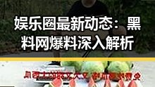 娱乐圈最新动态：黑料网爆料深入解析