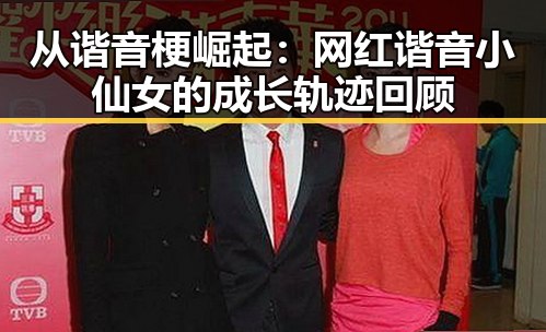 从谐音梗崛起：网红谐音小仙女的成长轨迹回顾