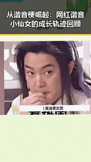 从谐音梗崛起:网红谐音小仙女的成长轨迹回顾