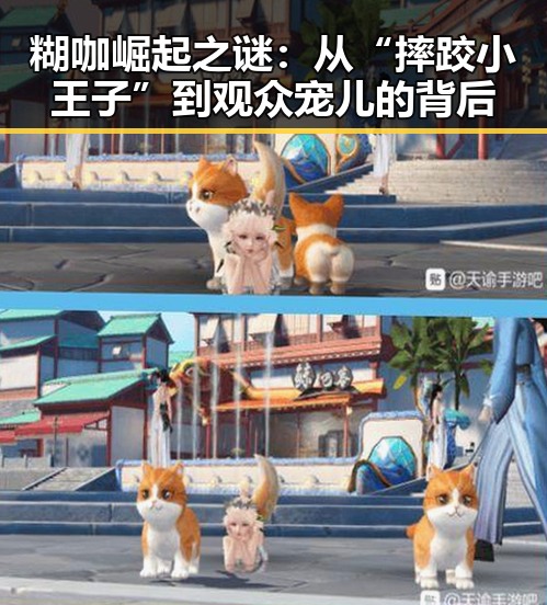 糊咖崛起之谜:从“摔跤小王子”到观众宠儿的背后