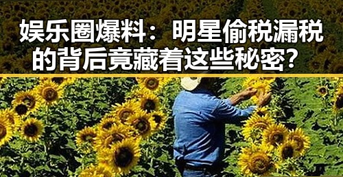 娱乐圈爆料：明星偷税漏税的背后竟藏着这些秘密？
